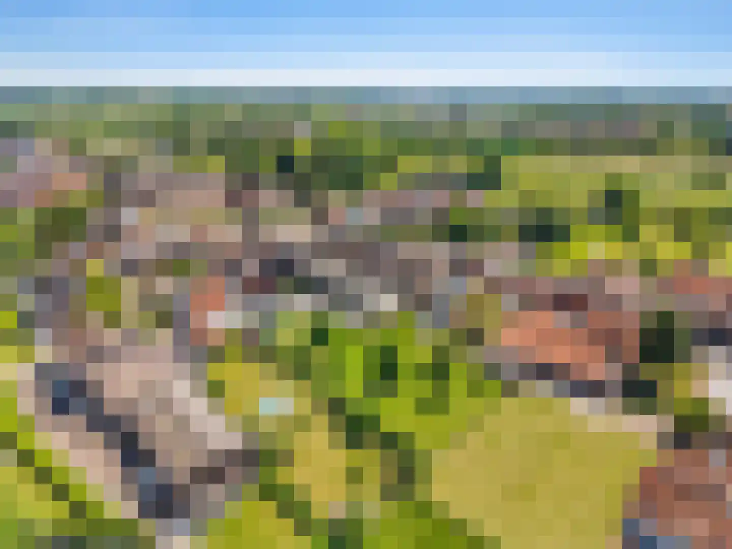 Kiezelkuilweg Mesch 12 Eijsden thumbnail 60