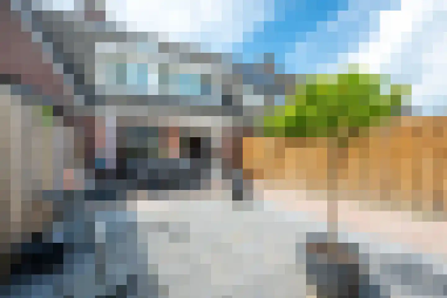 Kiezelsteen 2 Houten thumbnail 14