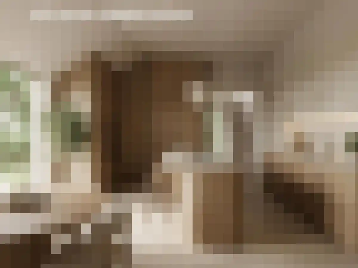 Kiezelweg 11 a Lutten thumbnail 17