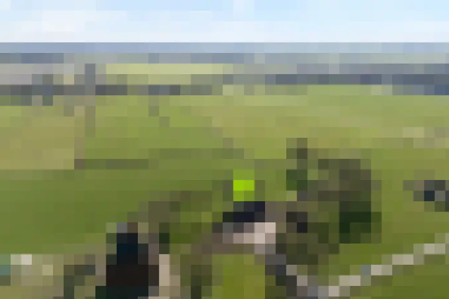 Kiezelweg 11 a Lutten thumbnail 42
