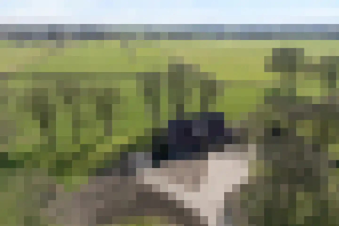 Kiezelweg 11 a Lutten thumbnail 49