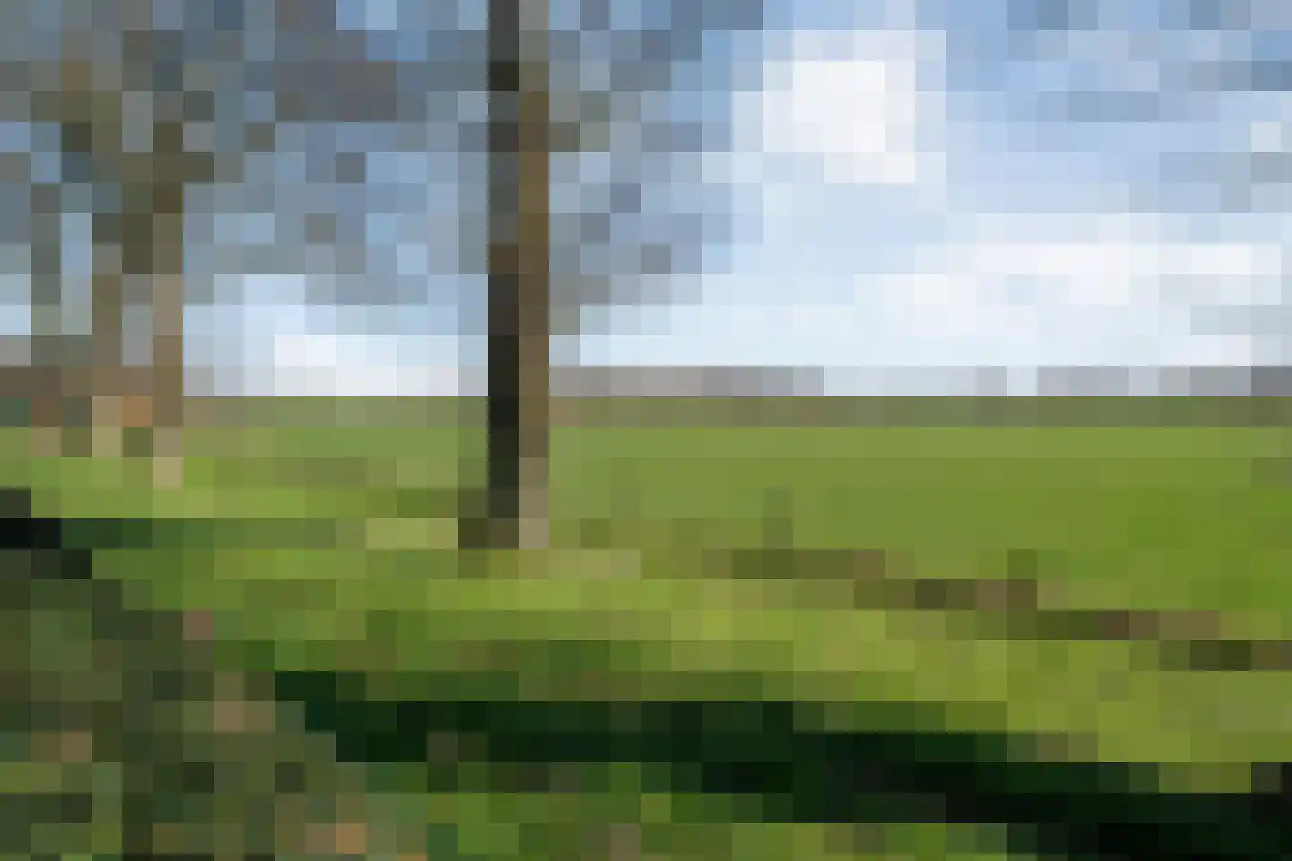 Kiezelweg 11 a Lutten thumbnail 51