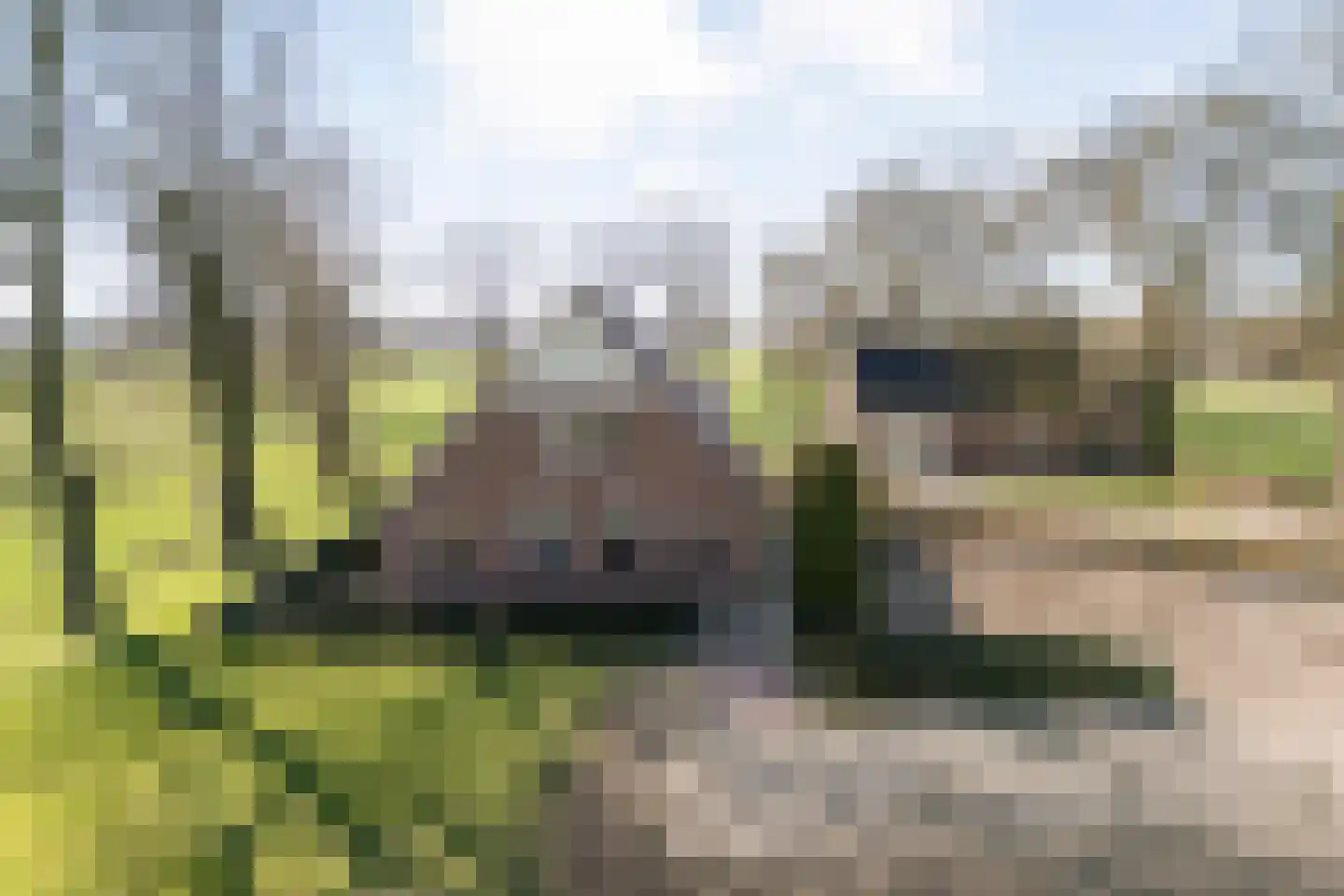 Kiezelweg 11 a Lutten thumbnail 6