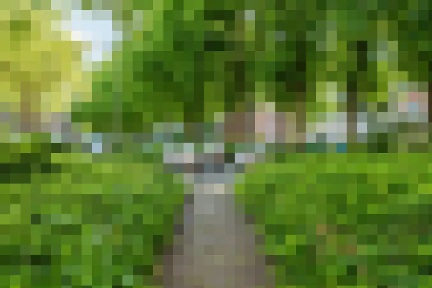 Kifhoek 6 B Meppel thumbnail 25