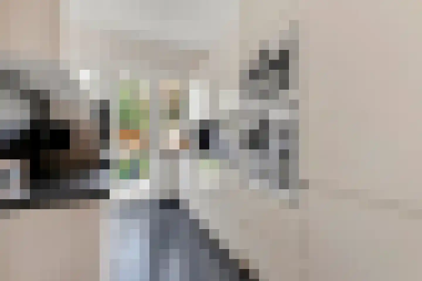 Kiggelaerstraat 7 Den Haag thumbnail 10