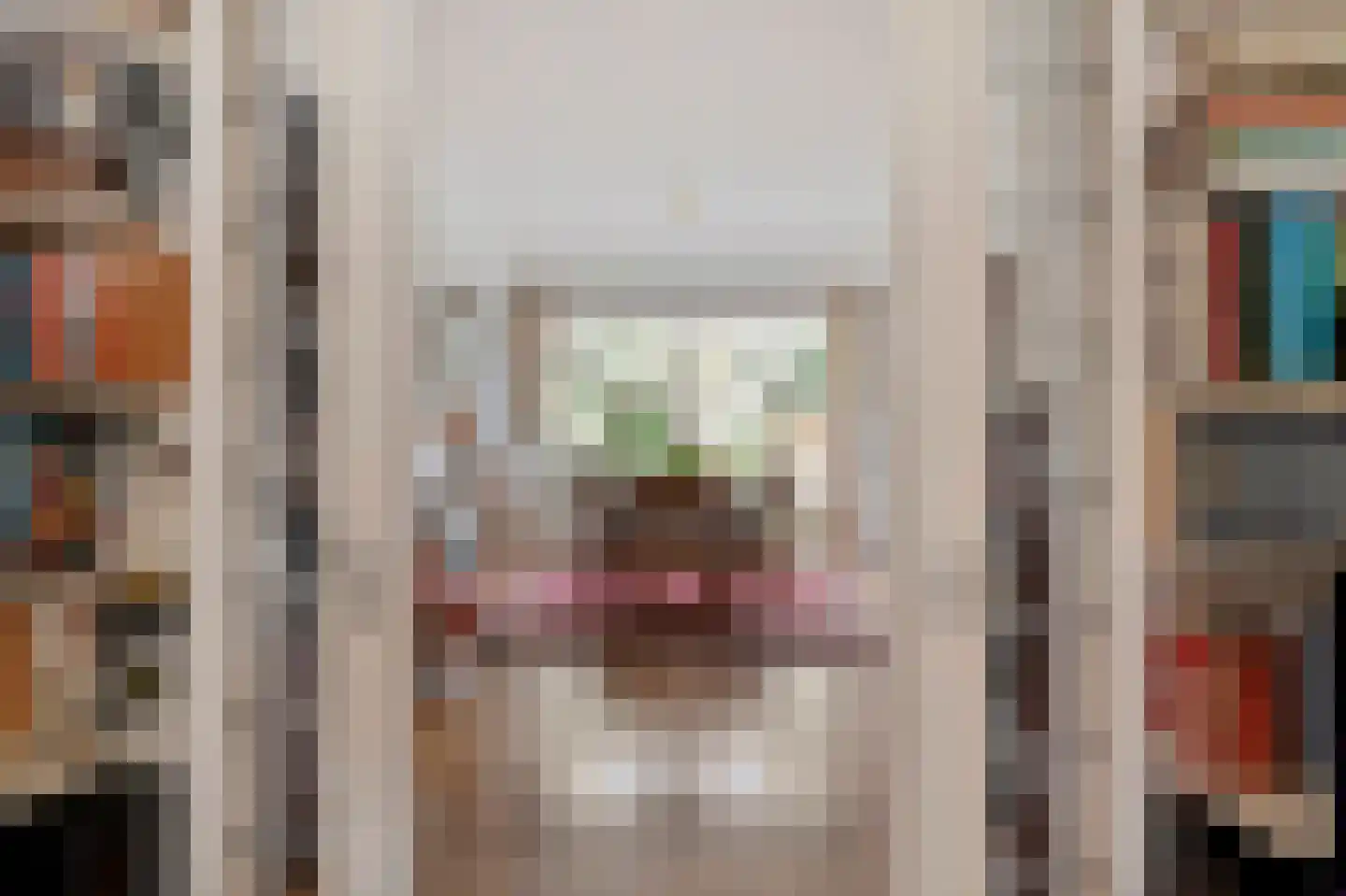 Kiggelaerstraat 7 Den Haag thumbnail 7