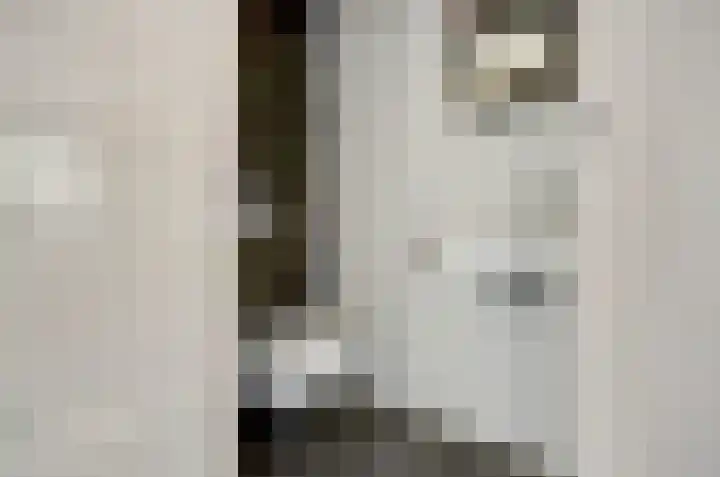 Kijckerweg 103 De Lier thumbnail 24