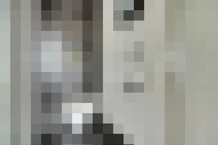 Kijckerweg 103 De Lier thumbnail 25