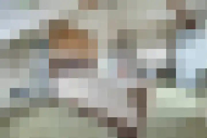 Kijckerweg 103 De Lier thumbnail 30