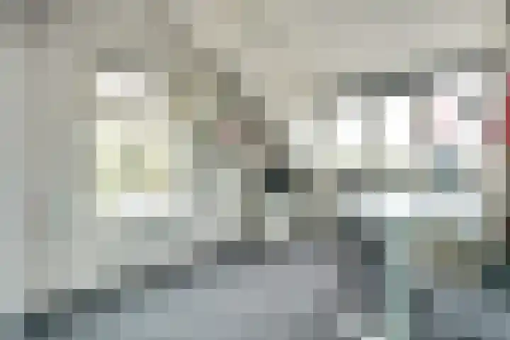 Kijckerweg 103 De Lier thumbnail 38