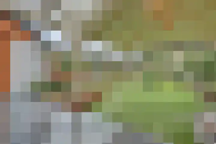 Kijckerweg 103 De Lier thumbnail 48