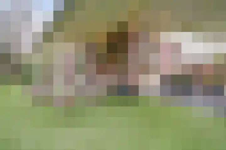 Kijckerweg 103 De Lier thumbnail 50