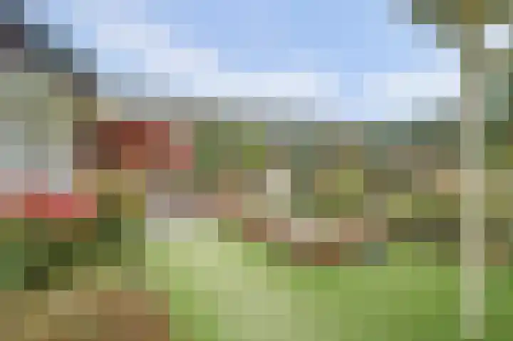 Kijckerweg 103 De Lier thumbnail 51