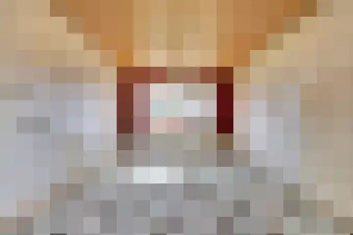 Kijckerweg 128 De Lier thumbnail 10
