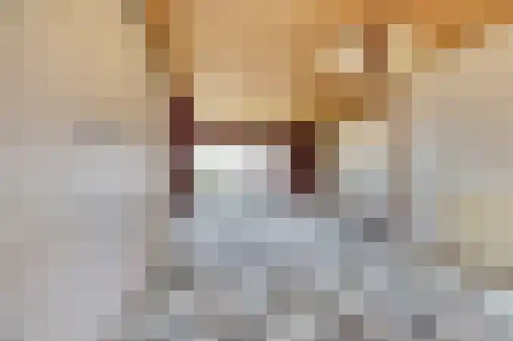 Kijckerweg 128 De Lier thumbnail 8