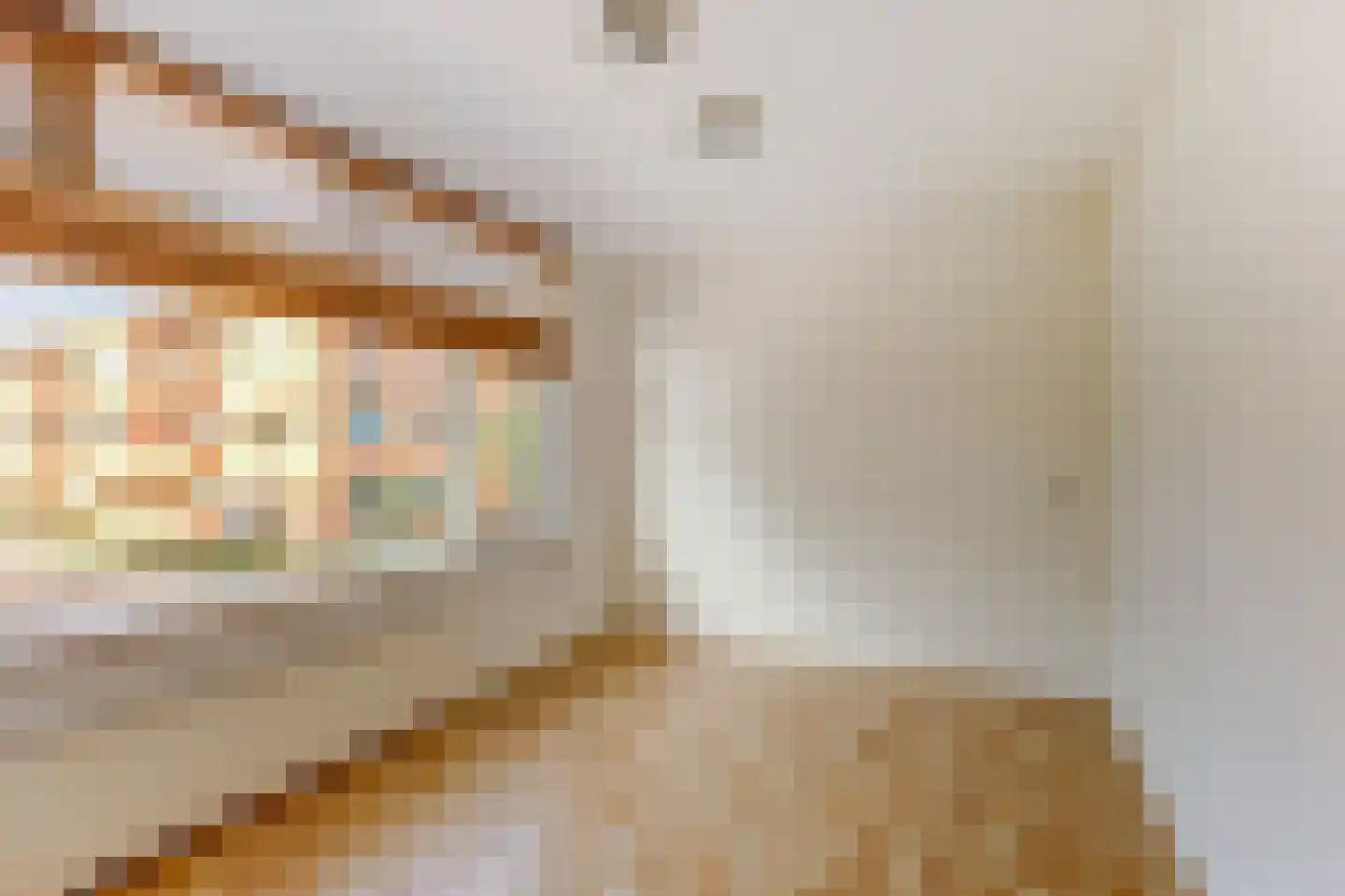 Kijckerweg 38 De Lier thumbnail 26