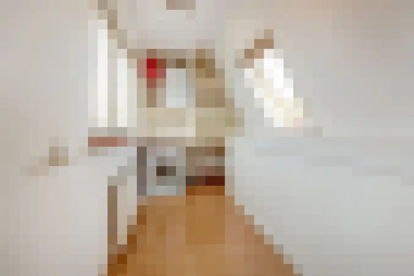 Kijckerweg 38 De Lier thumbnail 31