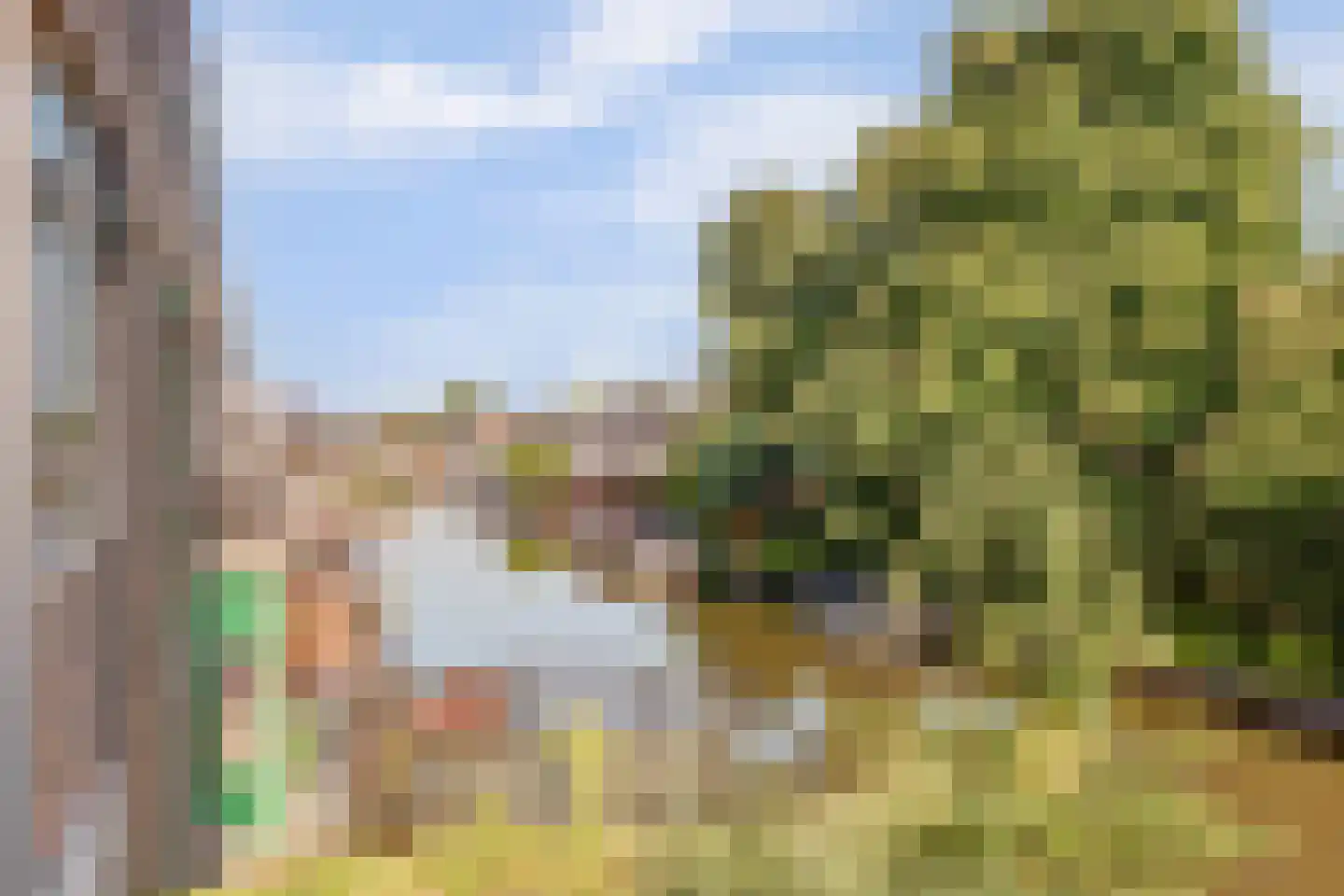 Kijckerweg 38 De Lier thumbnail 40
