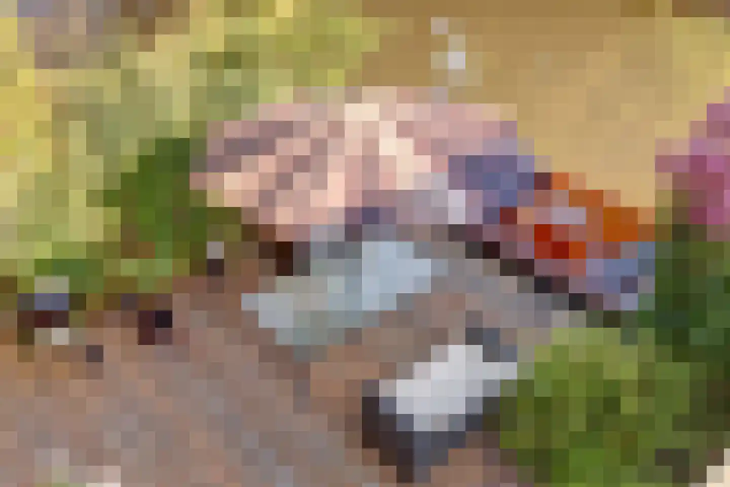 Kijckerweg 38 De Lier thumbnail 41