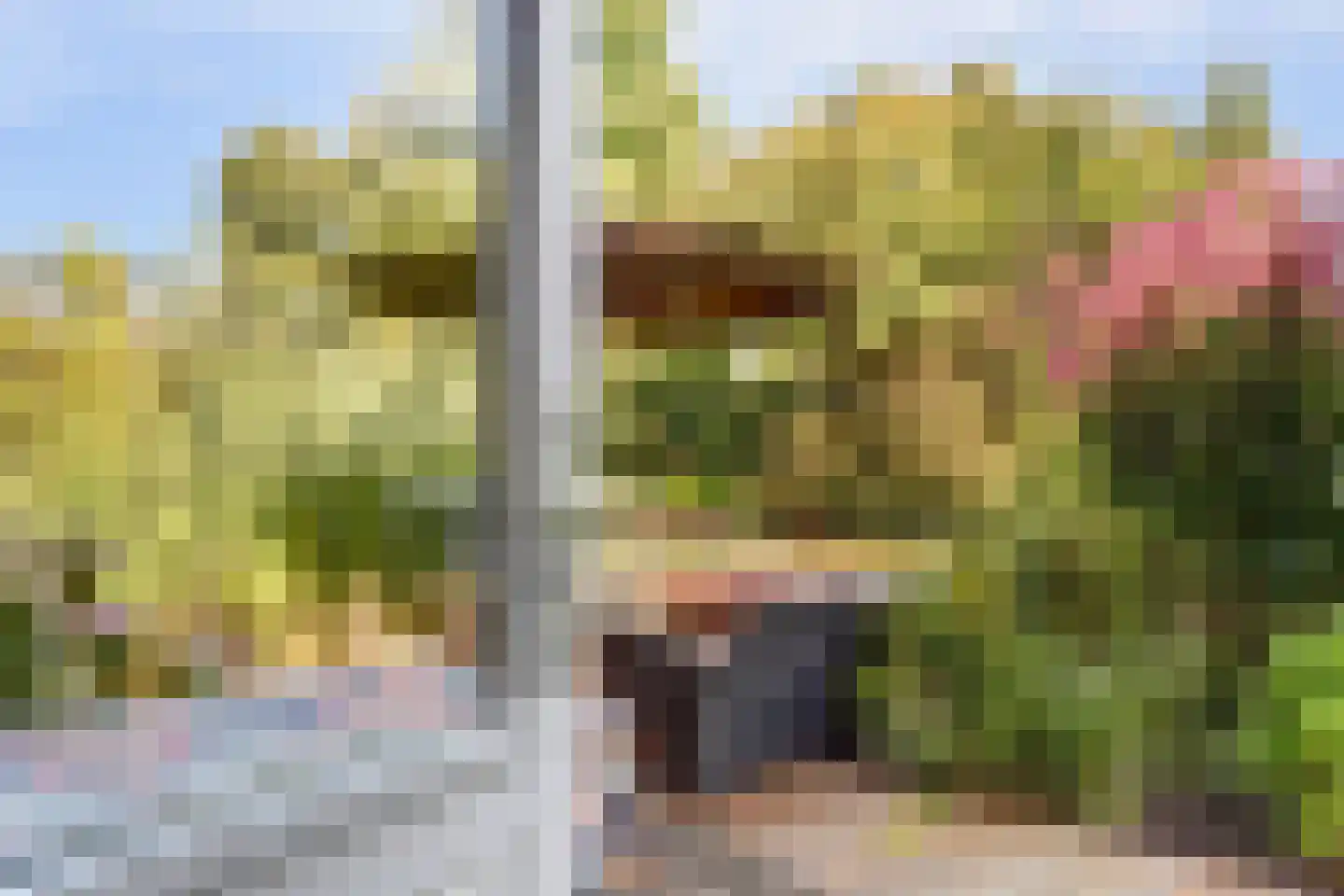 Kijckerweg 38 De Lier thumbnail 43
