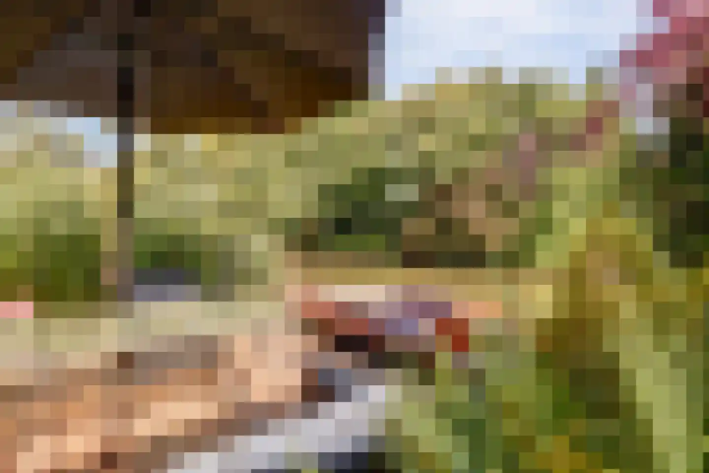 Kijckerweg 38 De Lier thumbnail 48