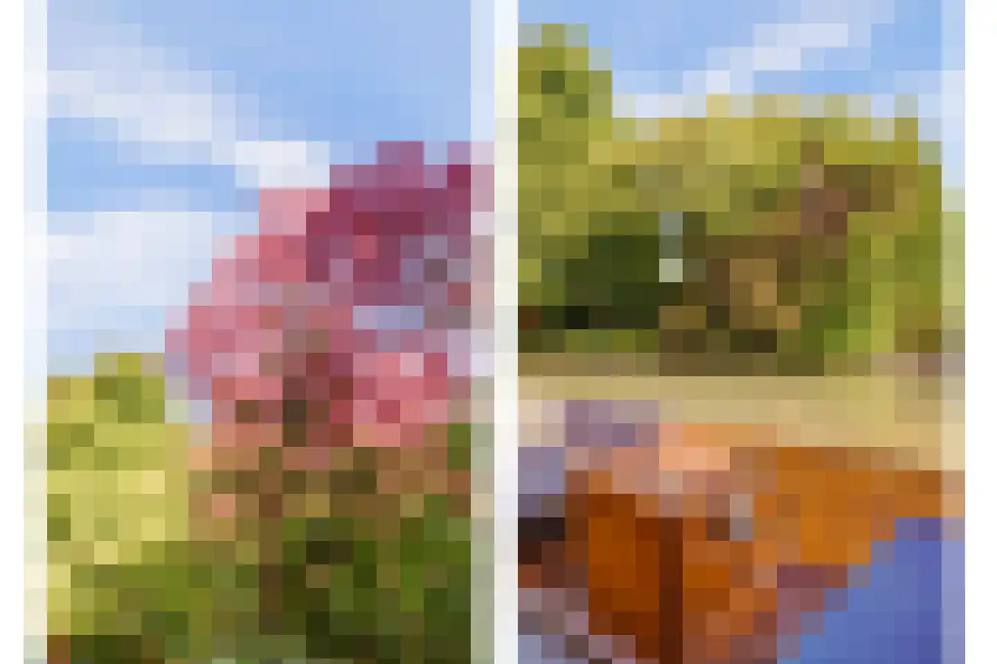 Kijckerweg 38 De Lier thumbnail 49