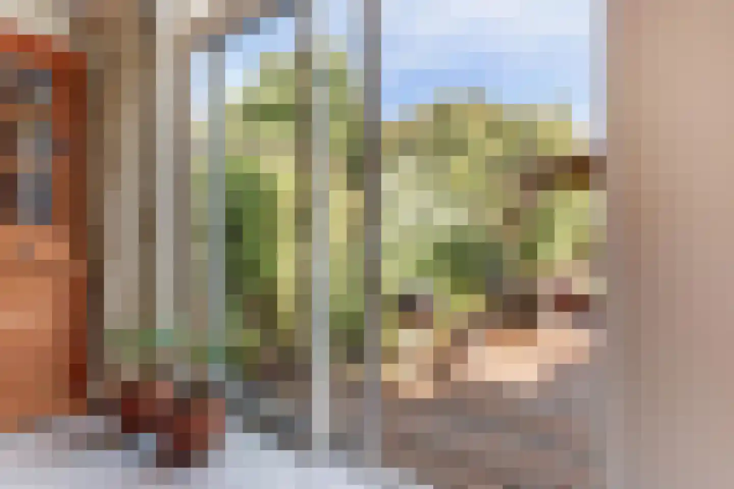 Kijckerweg 38 De Lier thumbnail 9