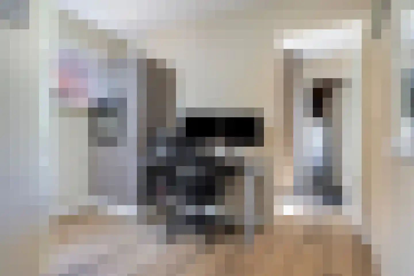 Kijckerweg 61 De Lier thumbnail 15