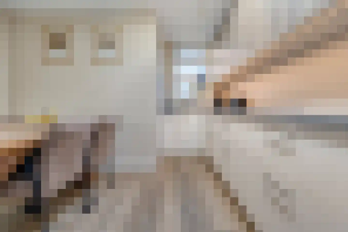 Kijckerweg 61 De Lier thumbnail 17