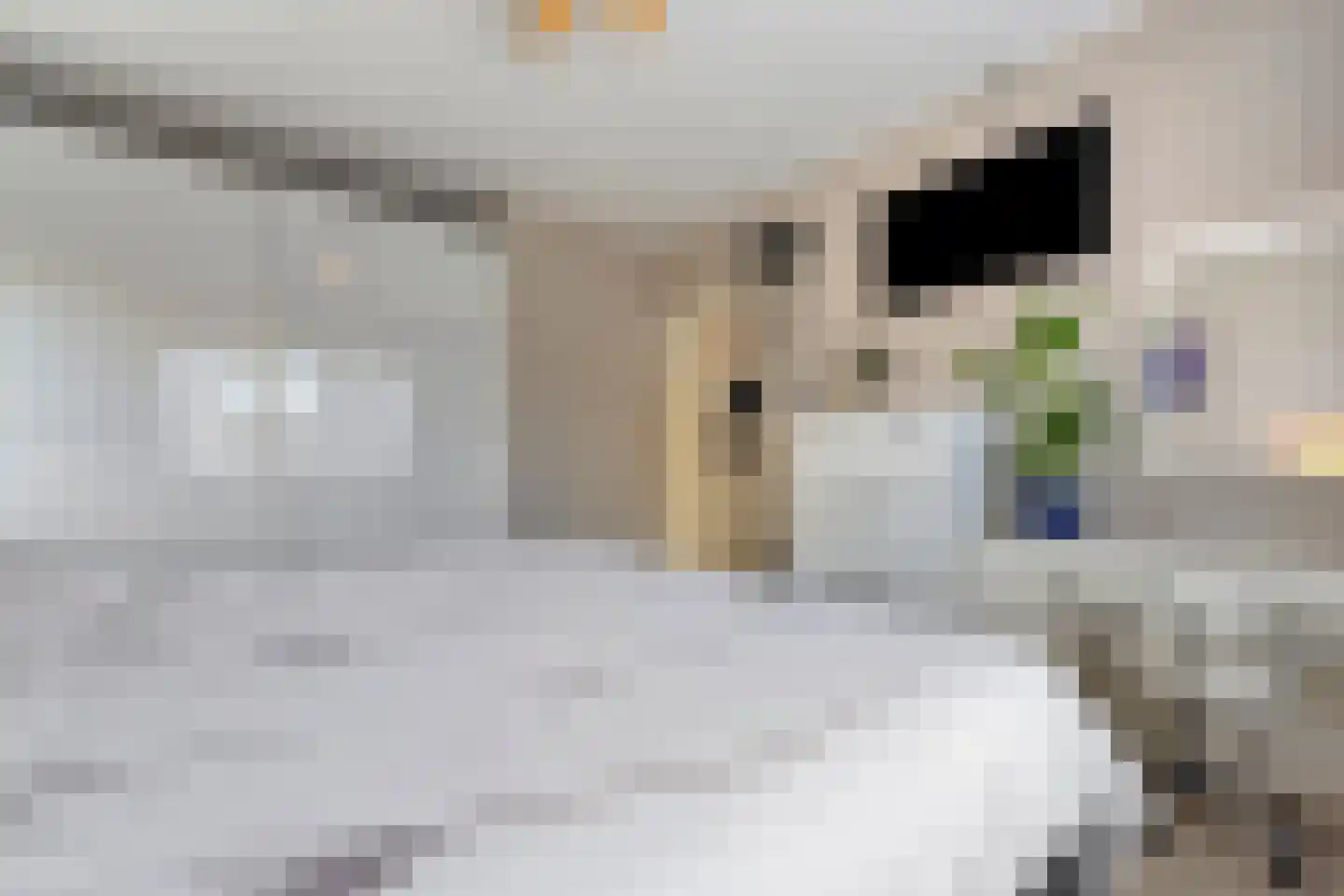 Kijckerweg 61 De Lier thumbnail 25