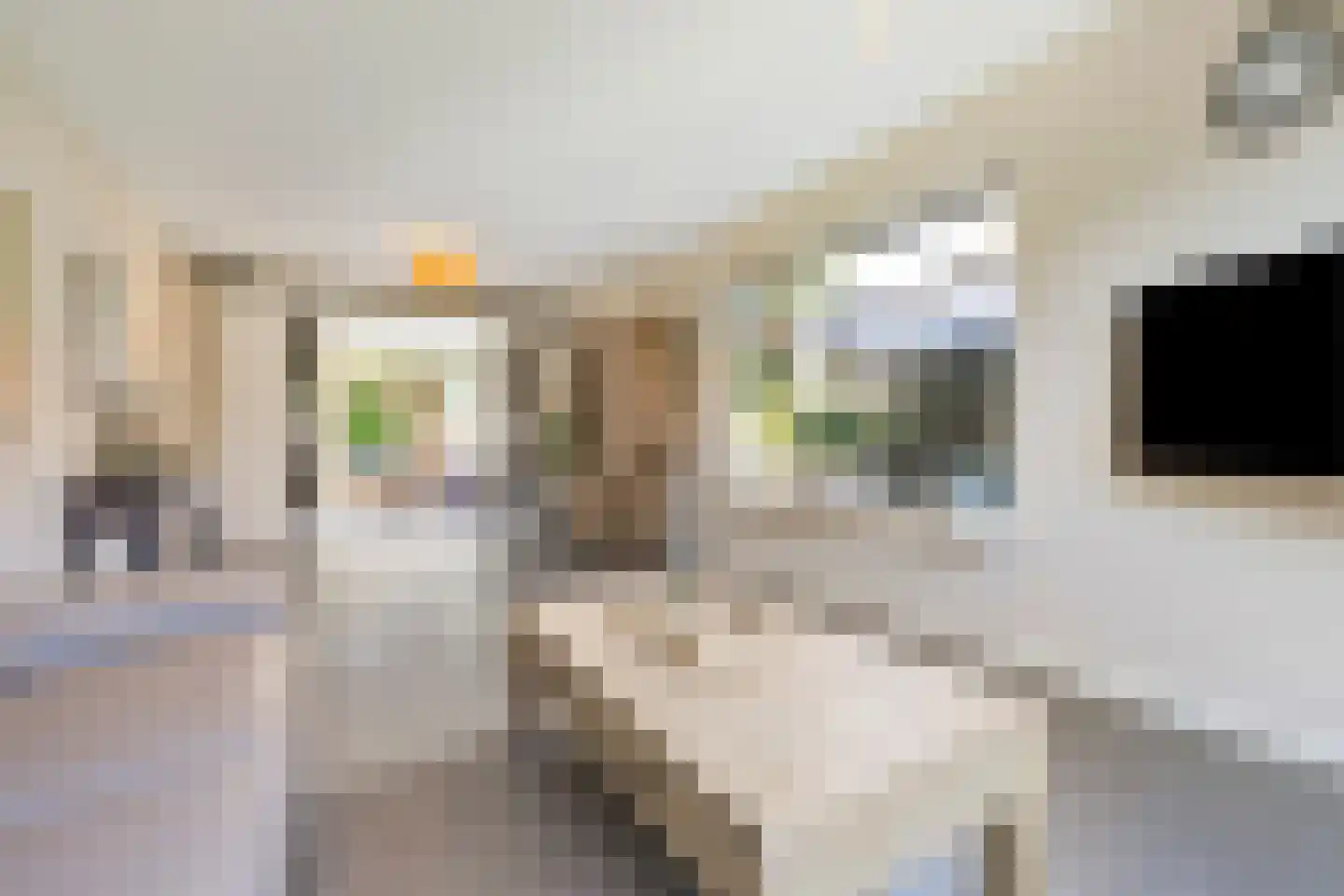 Kijckerweg 61 De Lier thumbnail 7