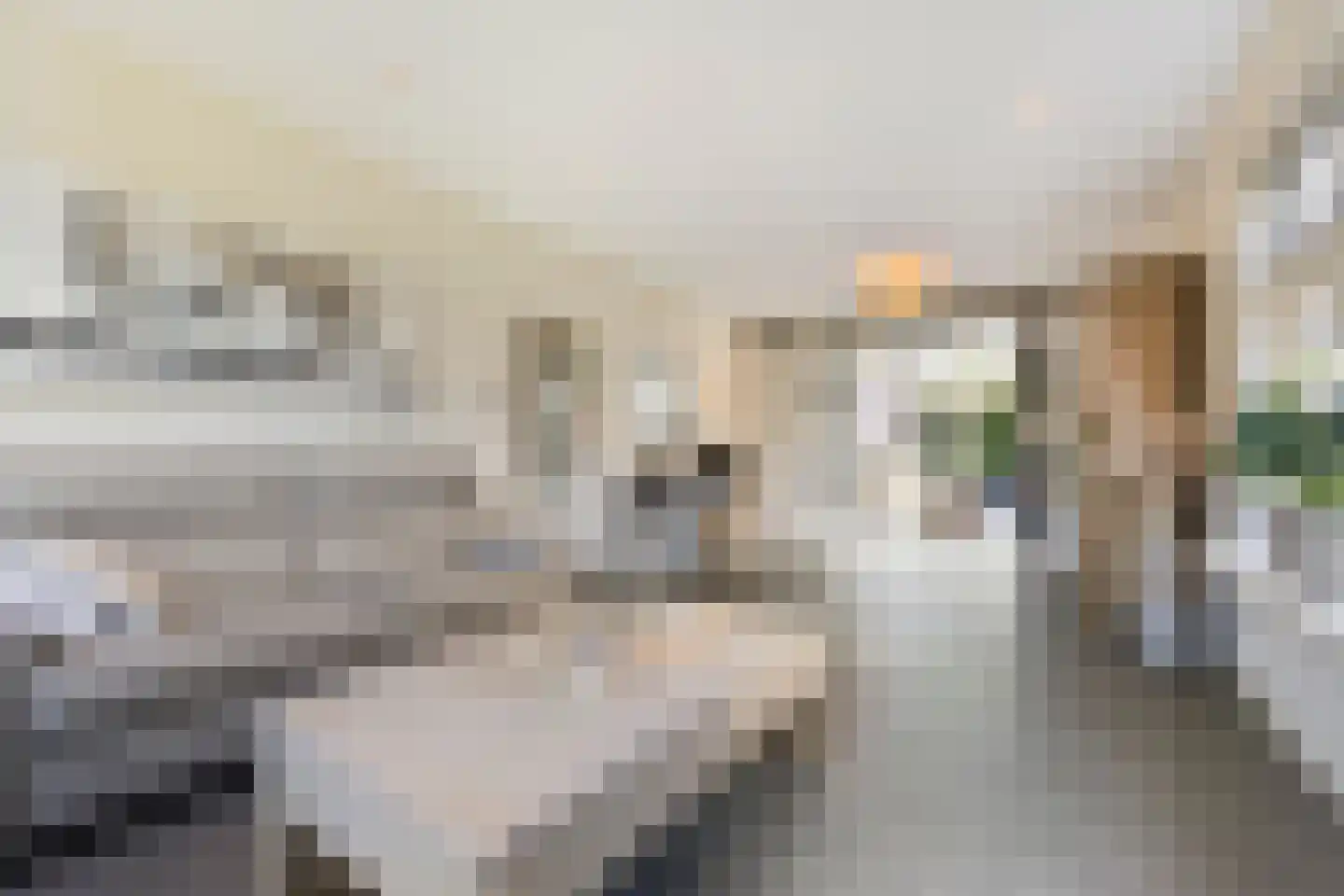 Kijckerweg 61 De Lier thumbnail 9