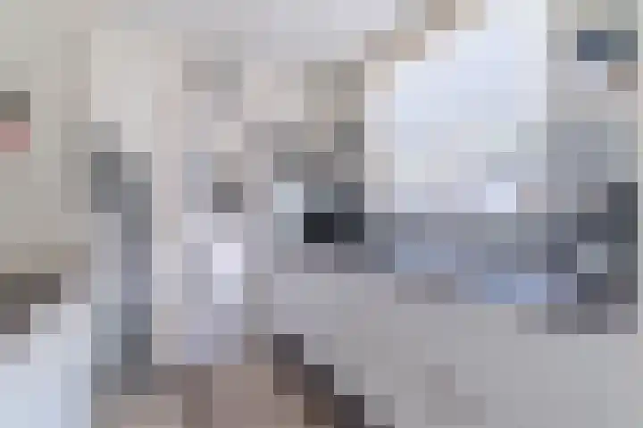 Kijckerweg 71 De Lier thumbnail 10