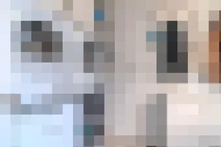Kijckerweg 71 De Lier thumbnail 11