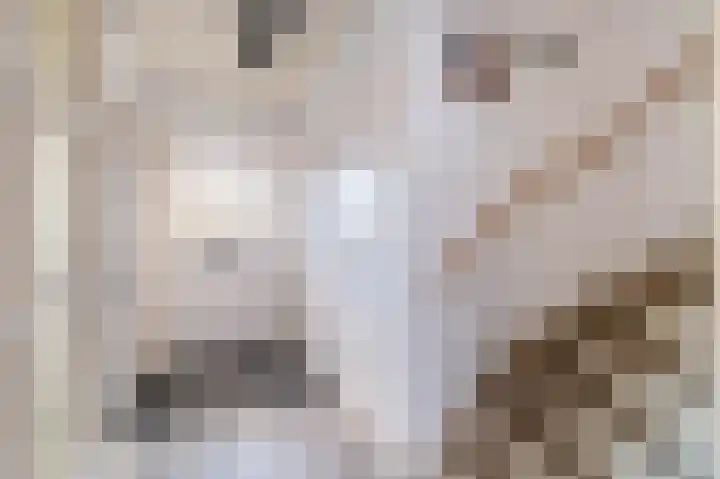 Kijckerweg 71 De Lier thumbnail 4