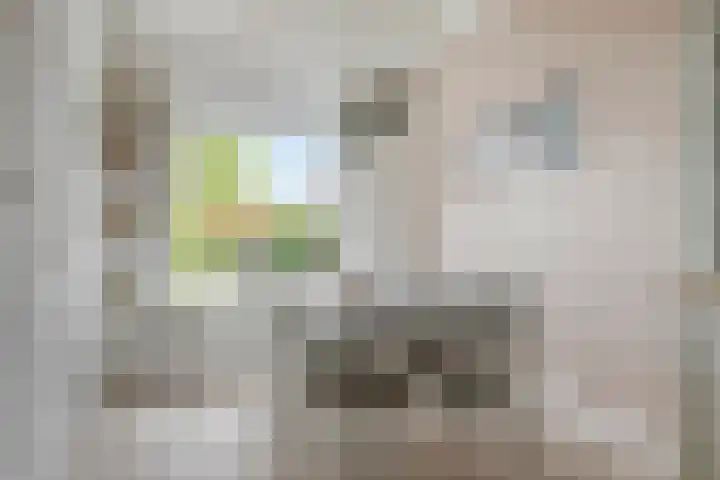 Kijckerweg 86 De Lier thumbnail 4