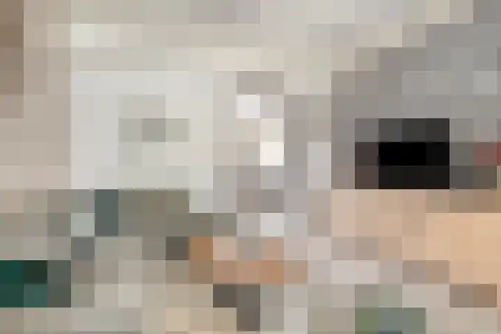 Kijckerweg 86 De Lier thumbnail 5