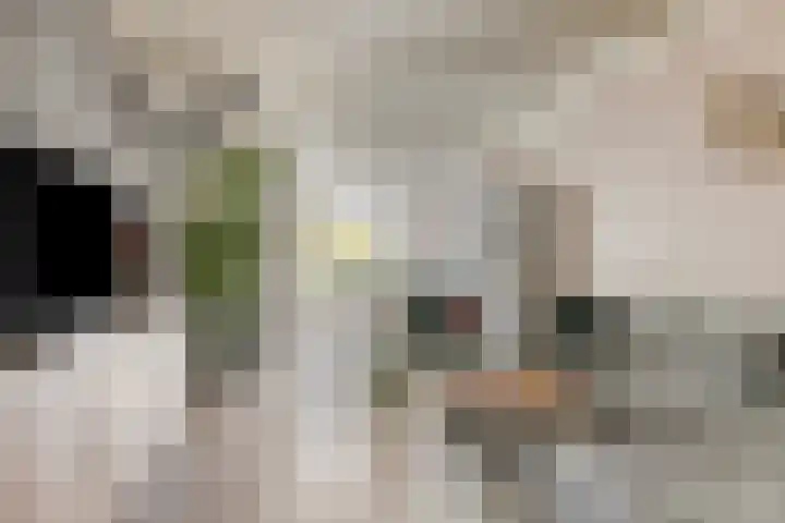 Kijckerweg 86 De Lier thumbnail 6