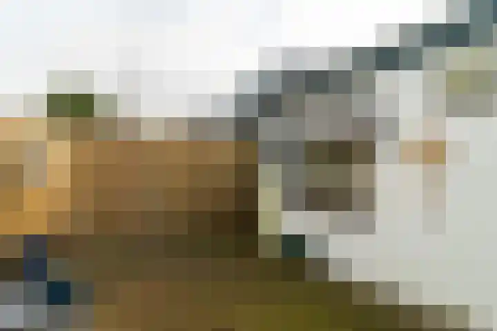 Kijckerweg 94 De Lier thumbnail 10