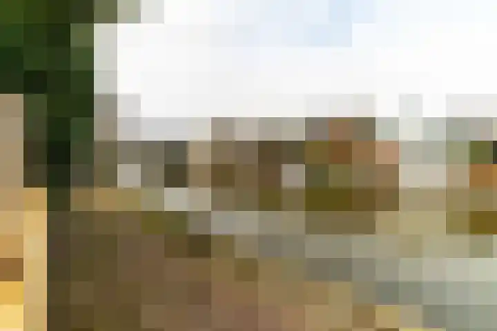 Kijckerweg 94 De Lier thumbnail 11