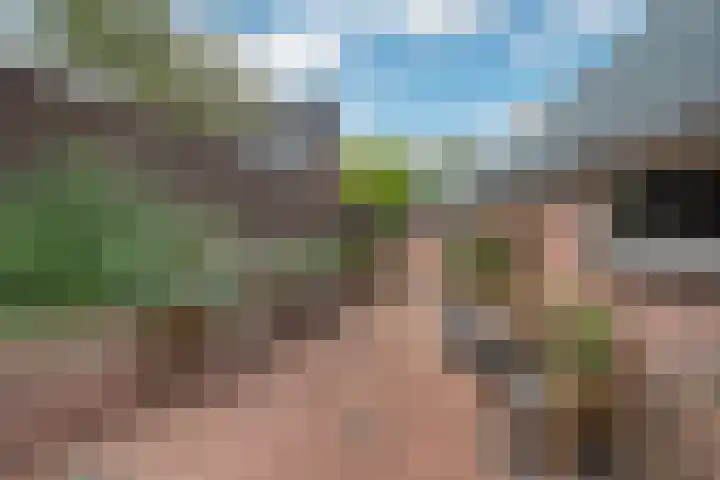 Kijdykje 9 Holwert thumbnail 10