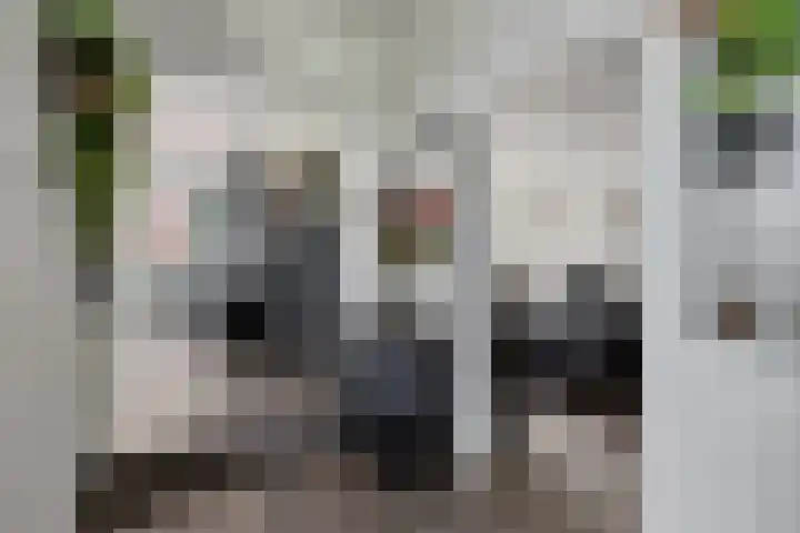 Kijdykje 9 Holwert thumbnail 12