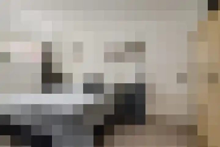 Kijdykje 9 Holwert thumbnail 13