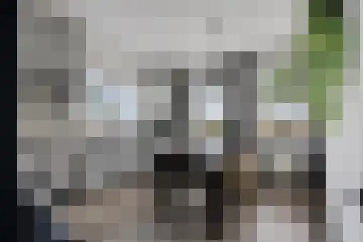 Kijdykje 9 Holwert thumbnail 14