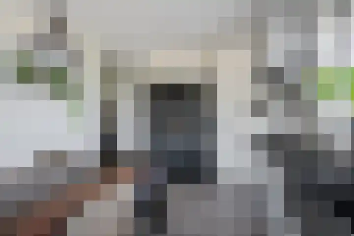 Kijdykje 9 Holwert thumbnail 15