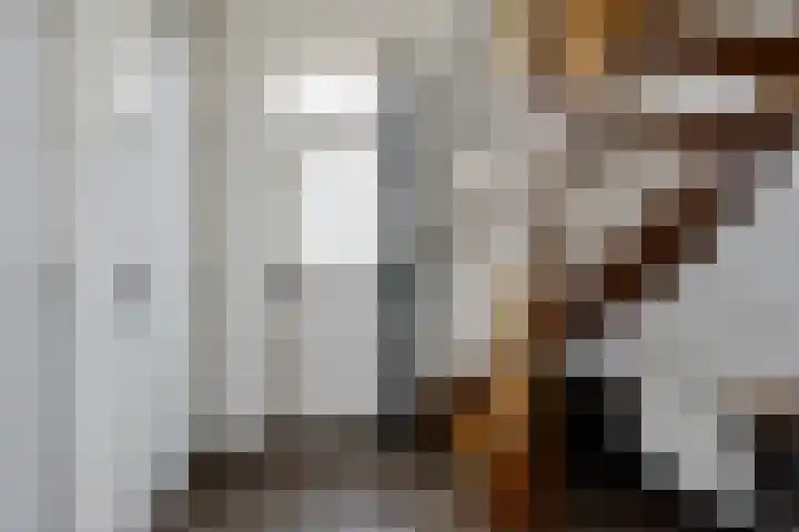 Kijdykje 9 Holwert thumbnail 17