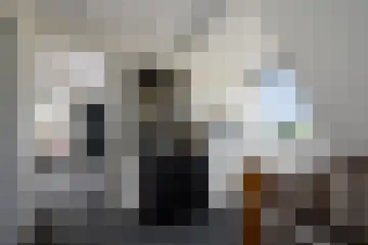 Kijdykje 9 Holwert thumbnail 18