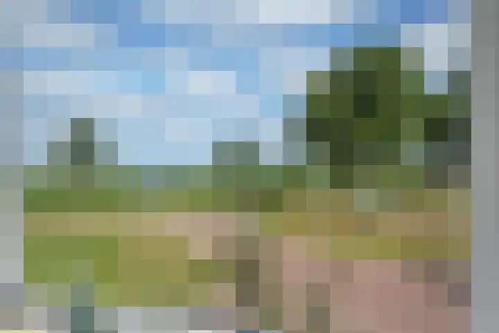 Kijdykje 9 Holwert thumbnail 19