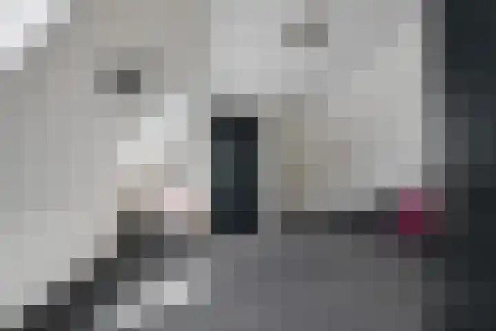 Kijdykje 9 Holwert thumbnail 20