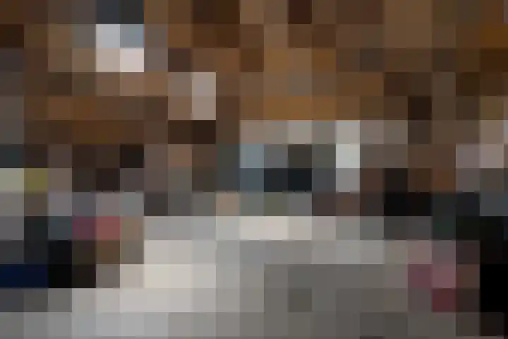 Kijdykje 9 Holwert thumbnail 24